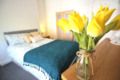 Property Image Thumbnail 12